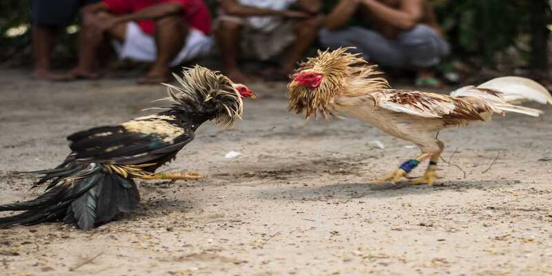 Tỷ lệ chi thưởng 69VN áp dụng cao